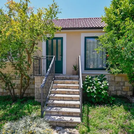 Mint - By Guide Split