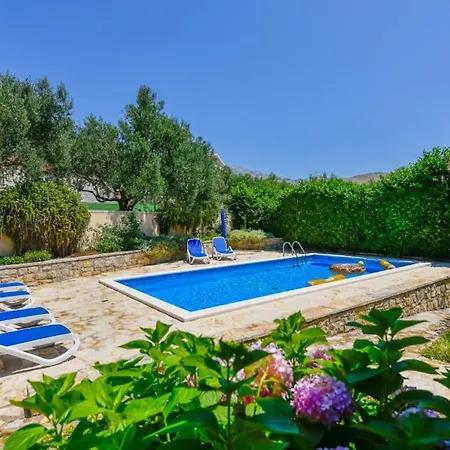 Mint - By Guide Split